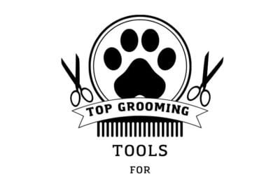Top 10 Cat Grooming Tools: Ultimate Guide for 2024