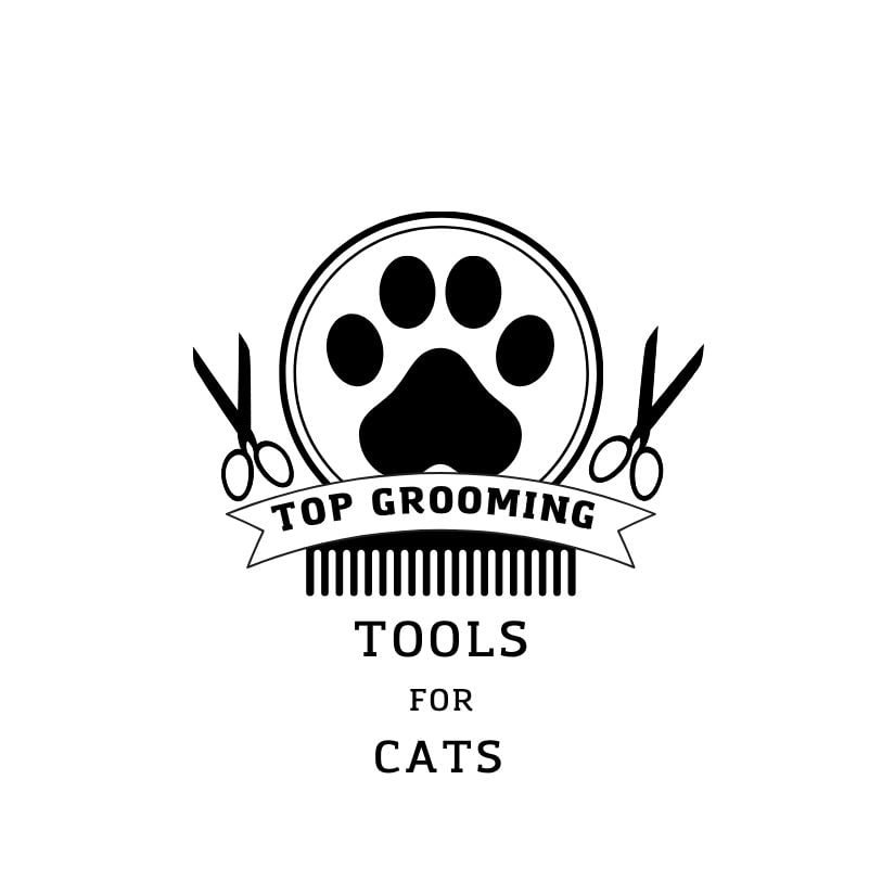 Top 10 Cat Grooming Tools: Ultimate Guide for 2024 feat Top 10 Cat Grooming Tools: Ultimate Guide for 2024
