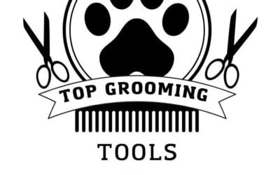 Top 7 Dog Grooming Tools: Ultimate Guide for Pet Owners