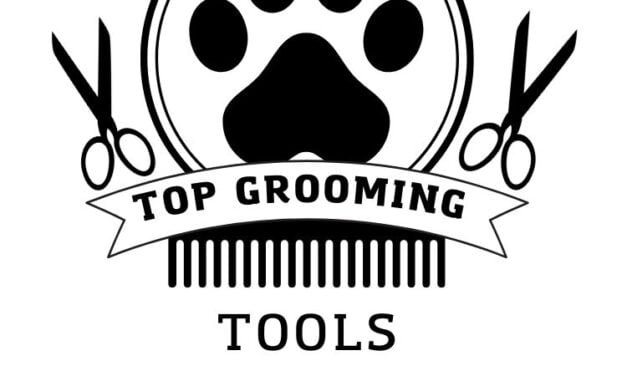 Top 7 Dog Grooming Tools: Ultimate Guide for Pet Owners