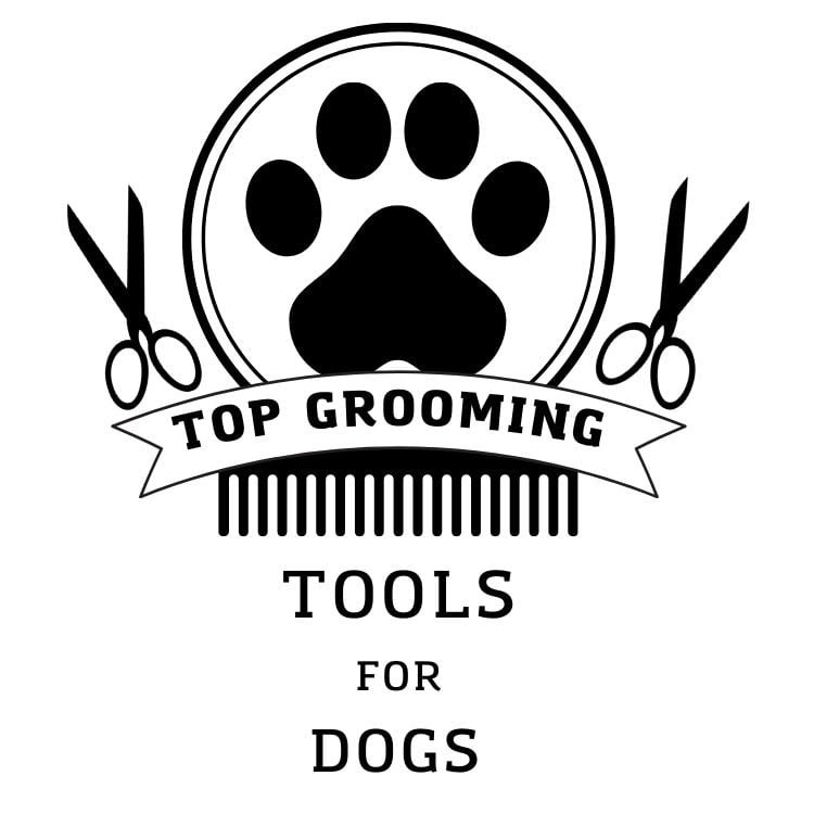 Top 10 Dog Grooming Tools: Ultimate Guide for Pet Owners feat Top 10 Dog Grooming Tools: Ultimate Guide for Pet Owners