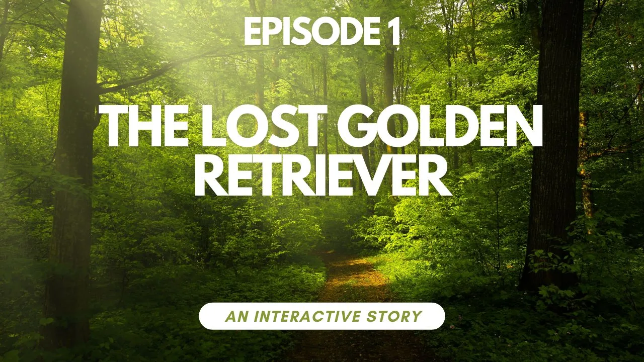 The Lost Golden Retriever Ep 1