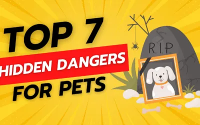 Top 7 Hidden Dangers in Your Home for Pets