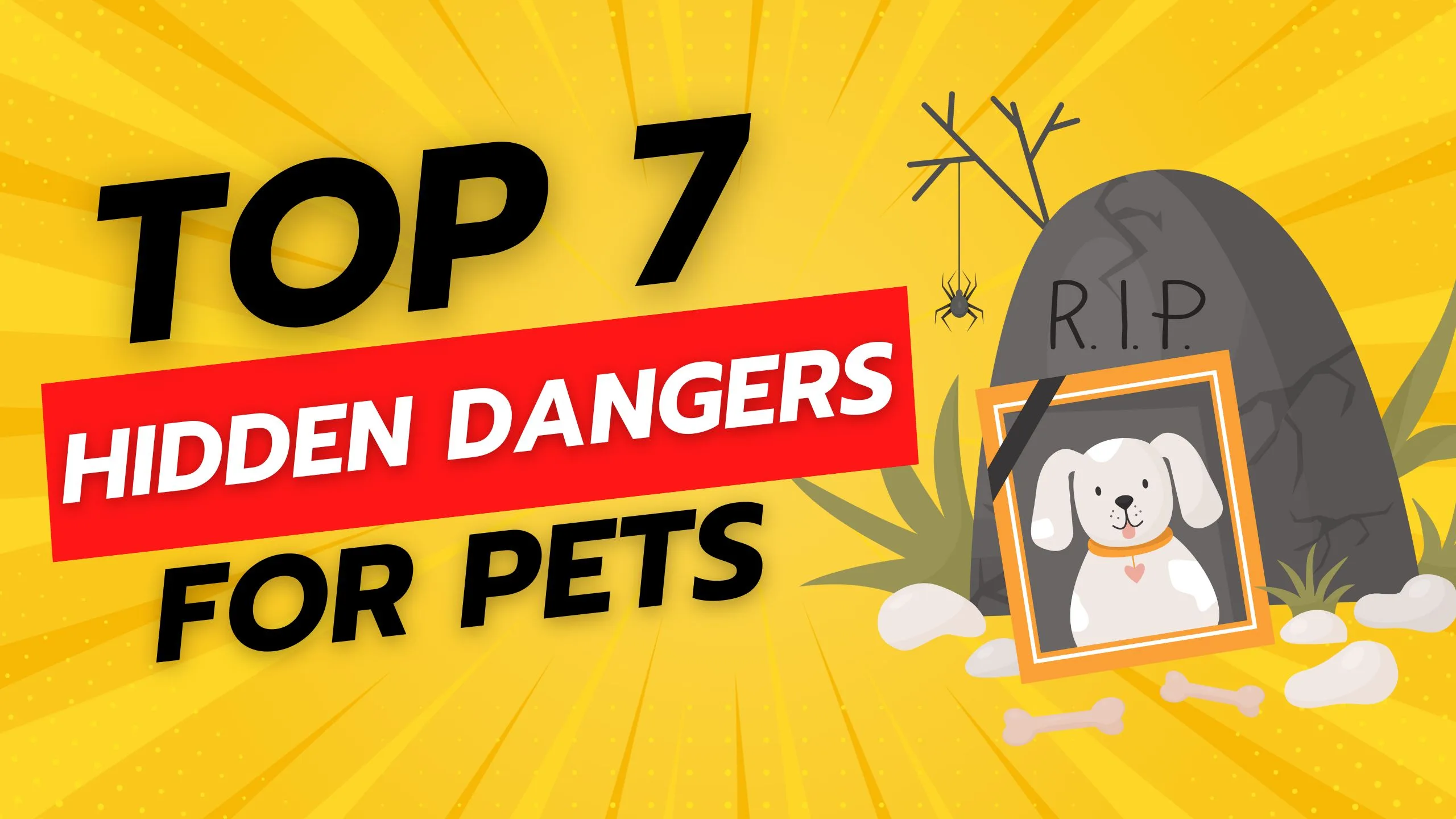 Top 7 hidden dangers for pets